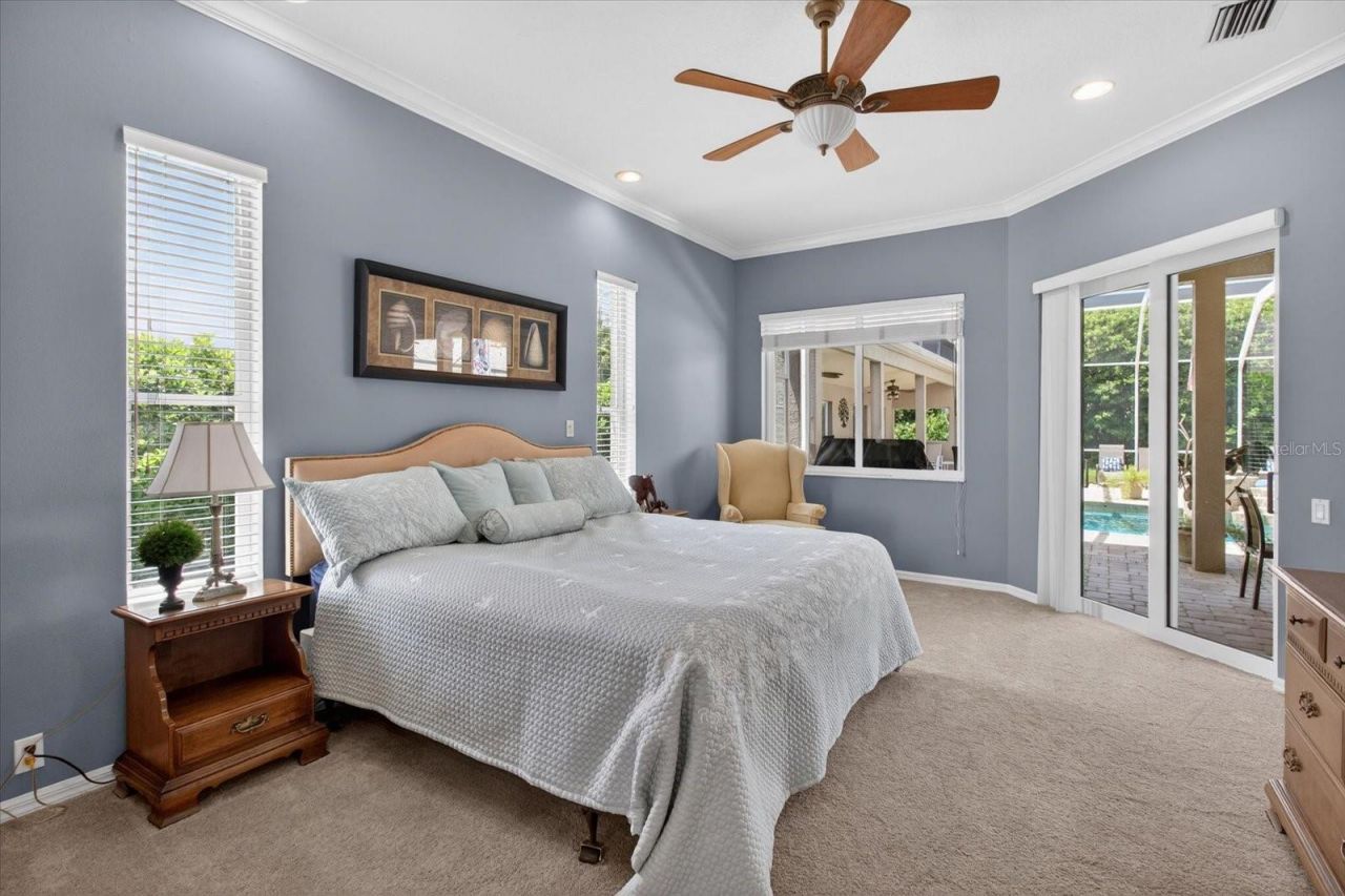 4052 Capitol Drive, Palm Harbor, FL 34685 Photo