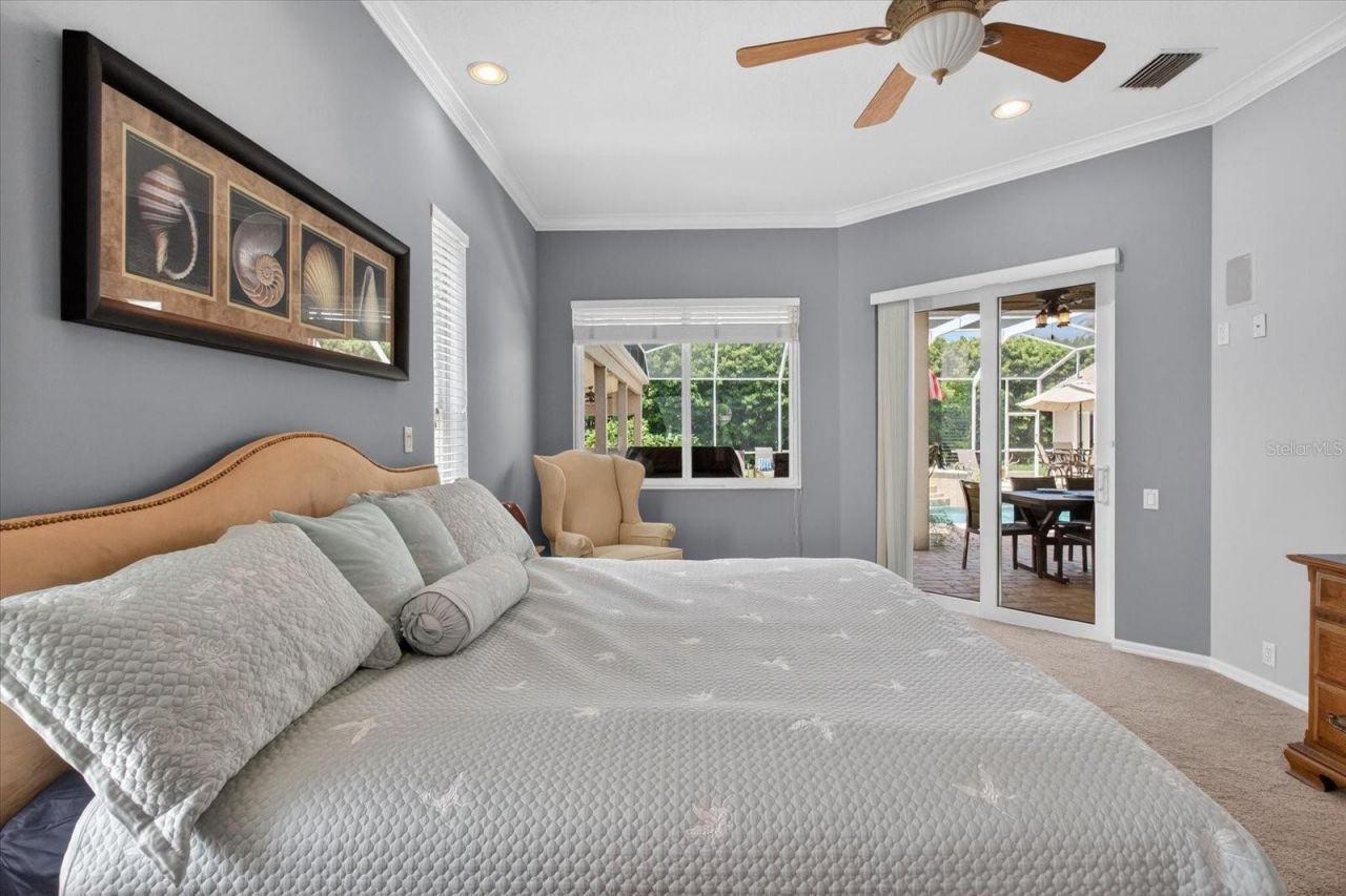 4052 Capitol Drive, Palm Harbor, FL 34685 Photo