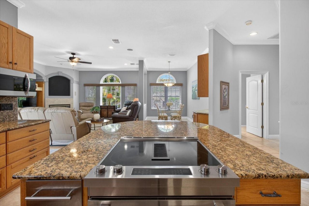 4052 Capitol Drive, Palm Harbor, FL 34685 Photo