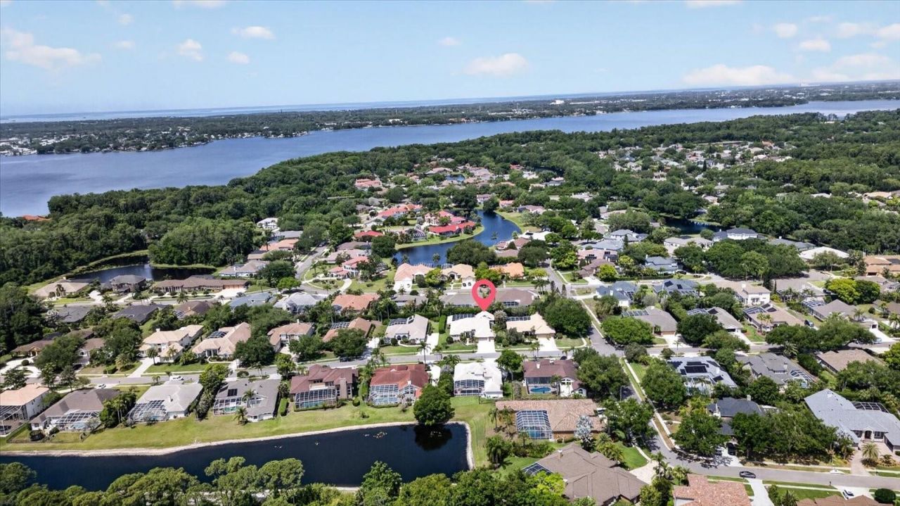4052 Capitol Drive, Palm Harbor, FL 34685 Photo