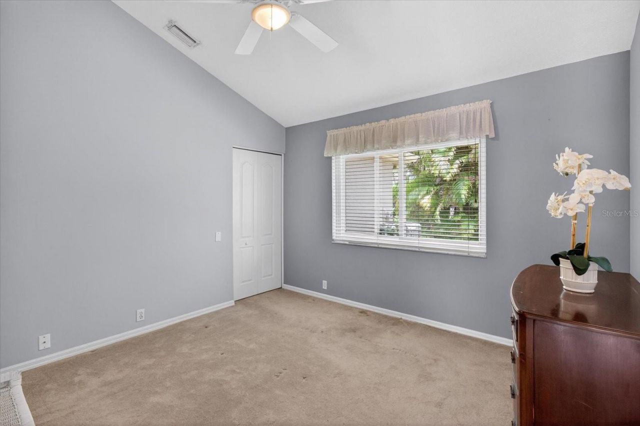 4052 Capitol Drive, Palm Harbor, FL 34685 Photo