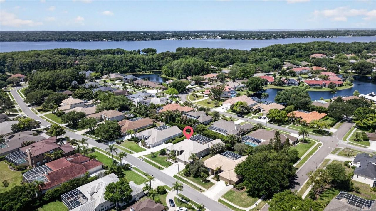 4052 Capitol Drive, Palm Harbor, FL 34685 Photo
