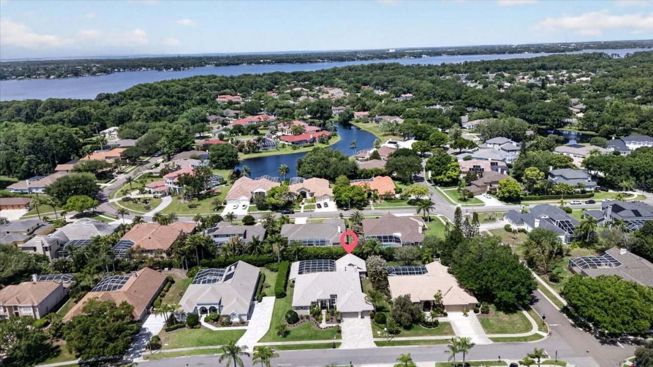 4052 Capitol Drive, Palm Harbor, FL 34685 Photo