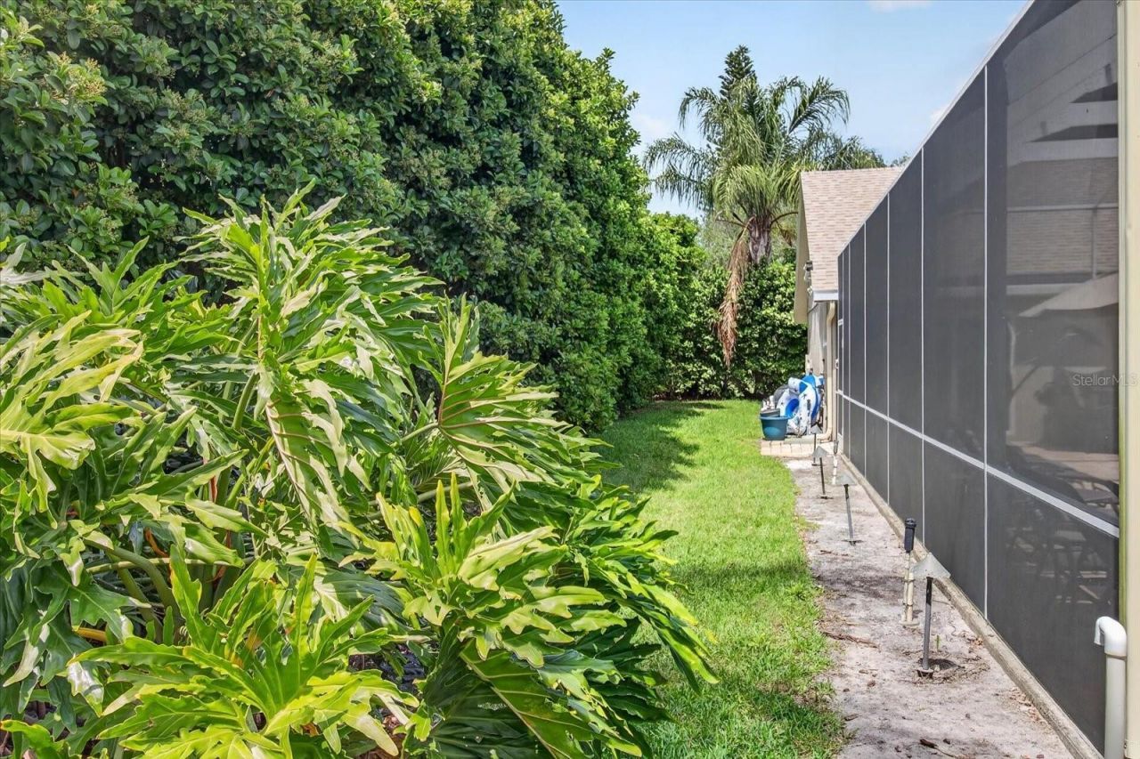 4052 Capitol Drive, Palm Harbor, FL 34685 Photo