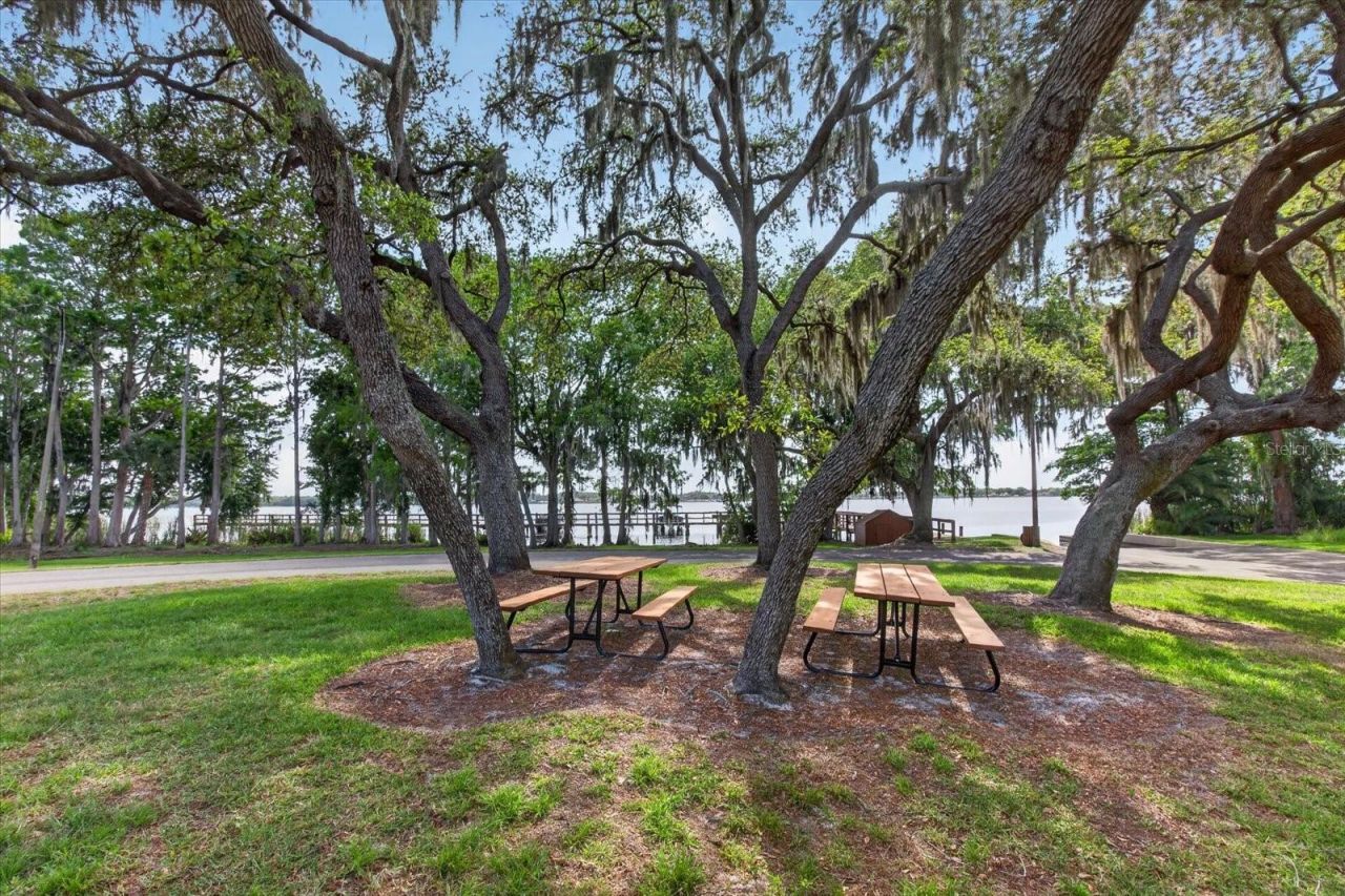 4052 Capitol Drive, Palm Harbor, FL 34685 Photo
