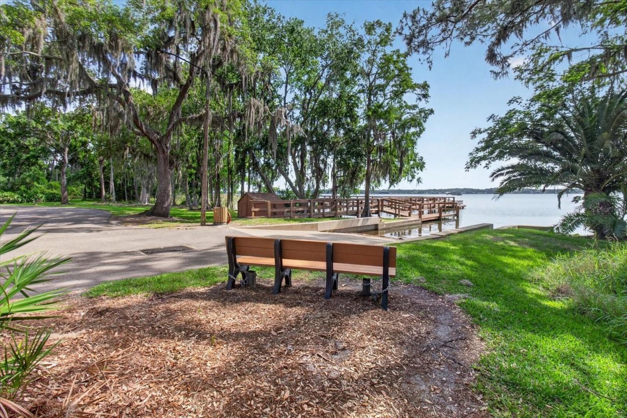 4052 Capitol Drive, Palm Harbor, FL 34685 Photo