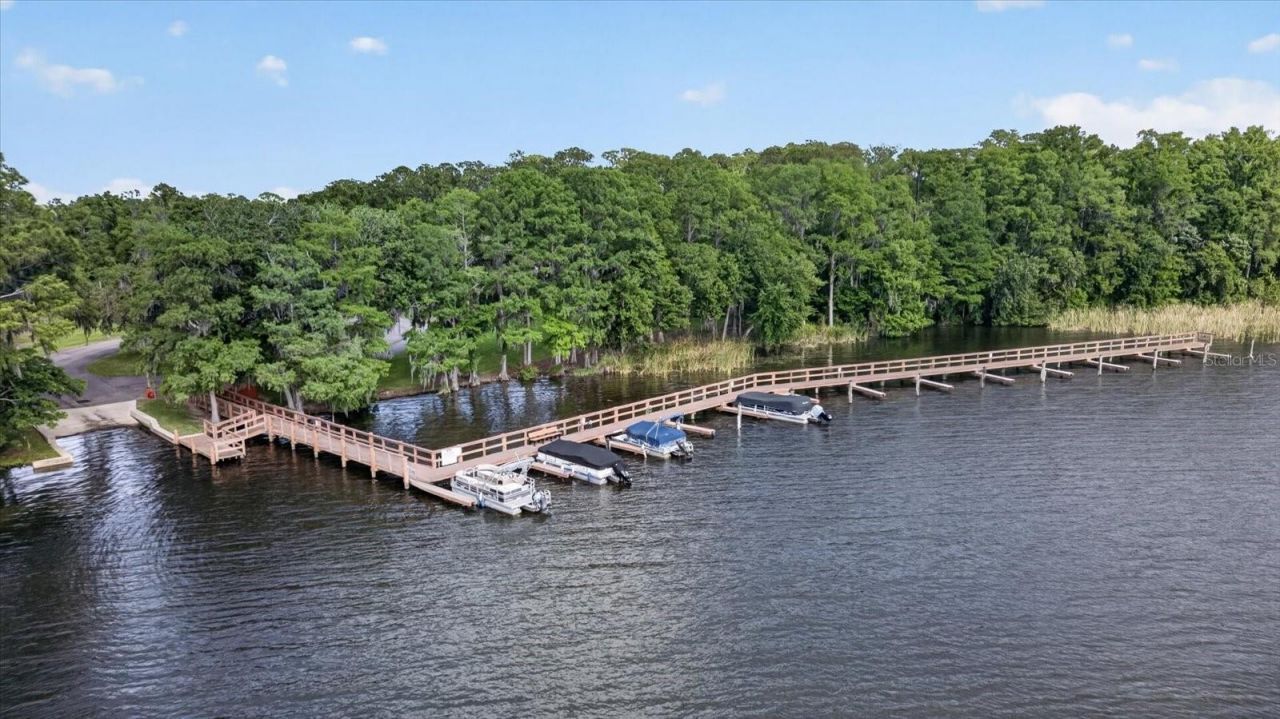 4052 Capitol Drive, Palm Harbor, FL 34685 Photo