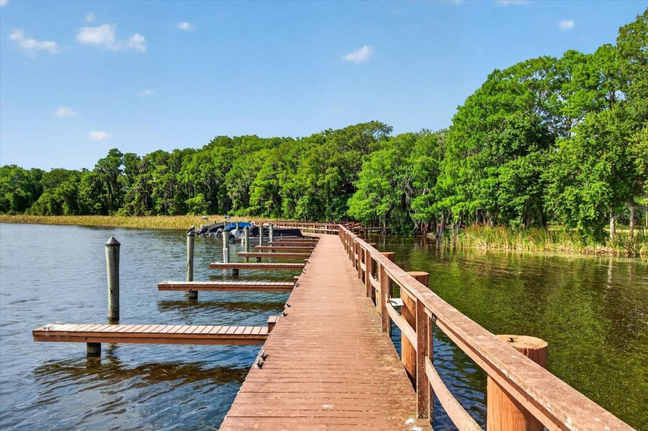 4052 Capitol Drive, Palm Harbor, FL 34685 Photo