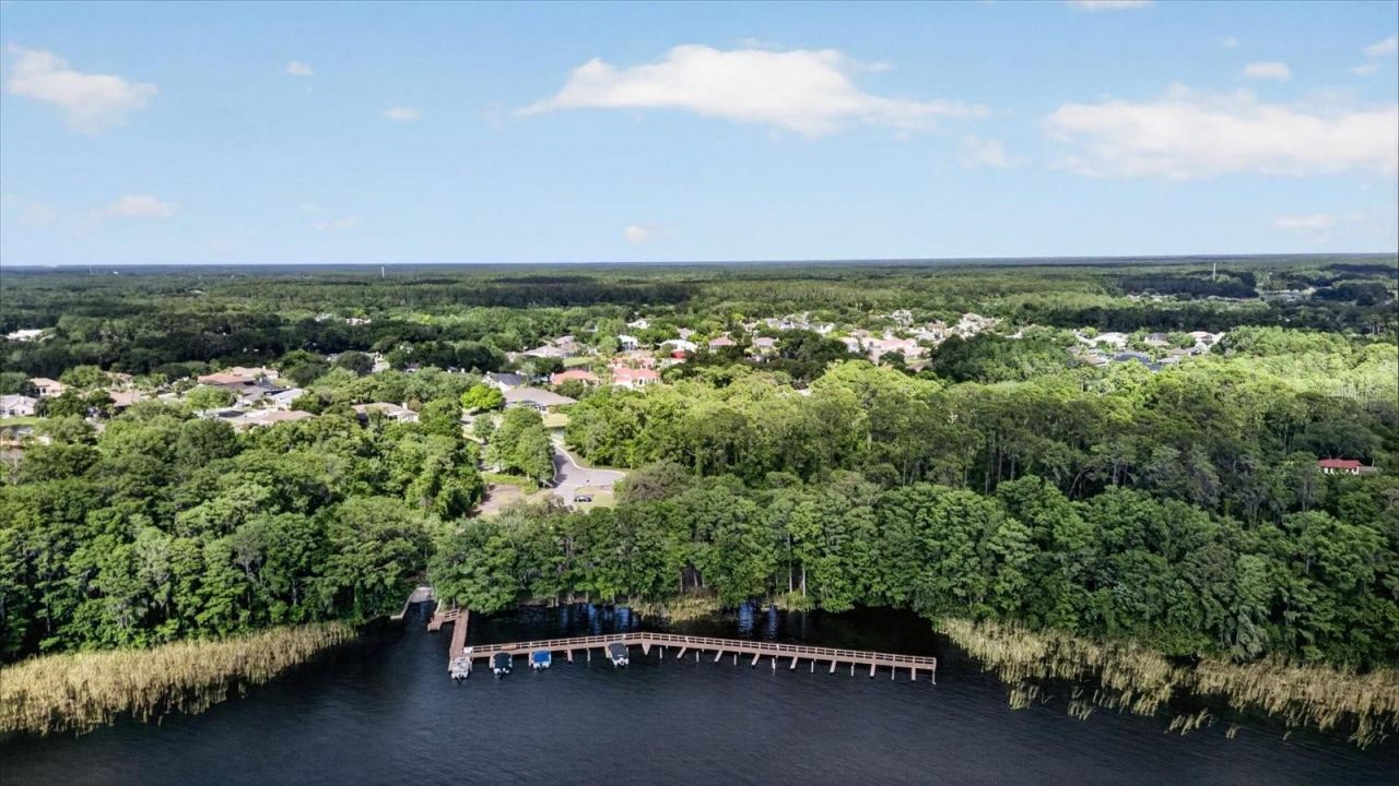 4052 Capitol Drive, Palm Harbor, FL 34685 Photo