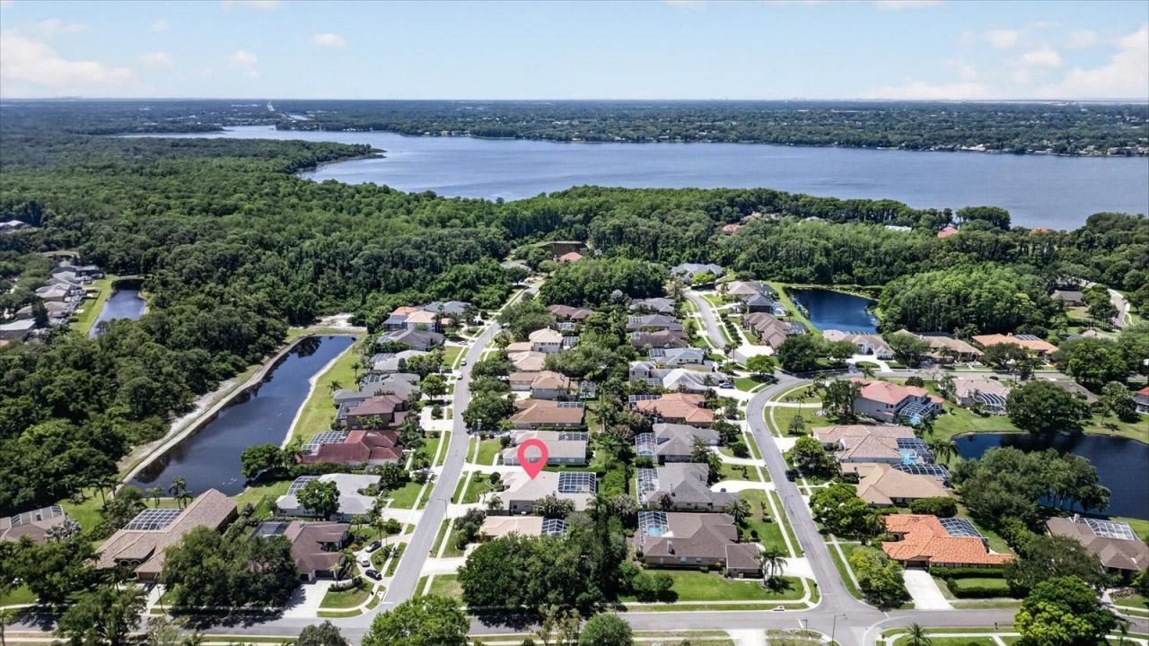 4052 Capitol Drive, Palm Harbor, FL 34685 Photo