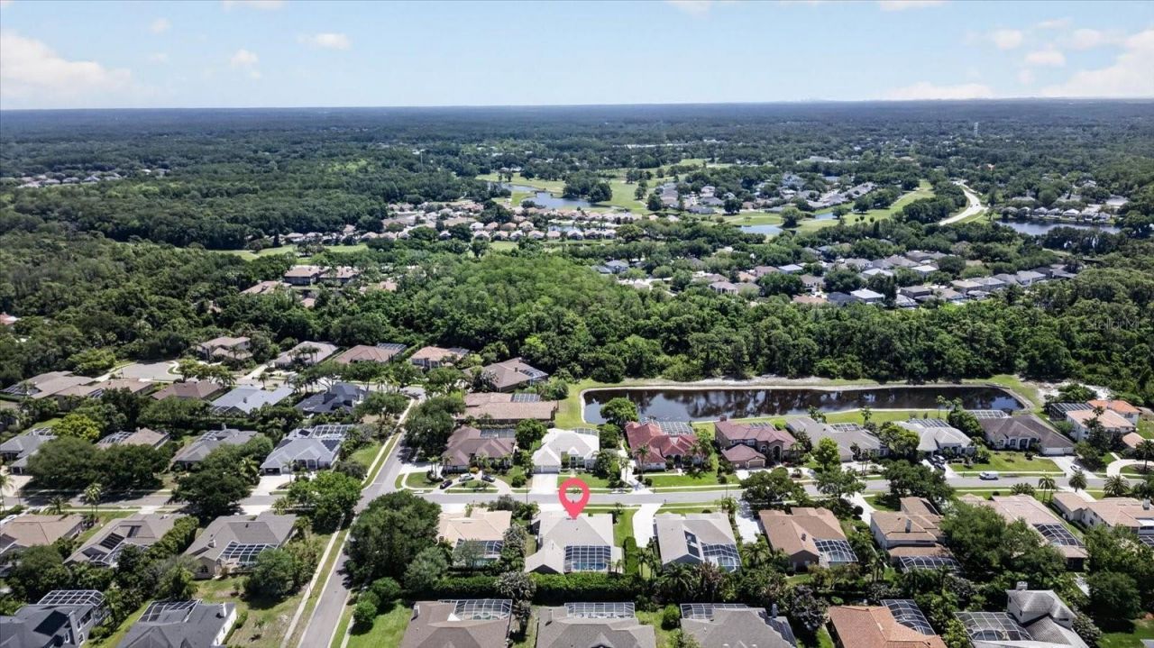 4052 Capitol Drive, Palm Harbor, FL 34685 Photo