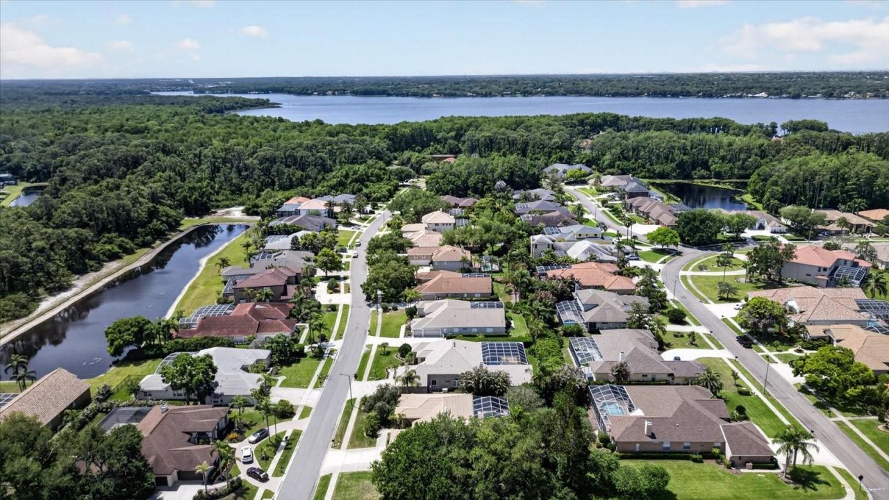 4052 Capitol Drive, Palm Harbor, FL 34685 Photo