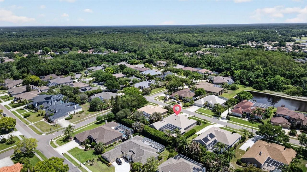 4052 Capitol Drive, Palm Harbor, FL 34685 Photo