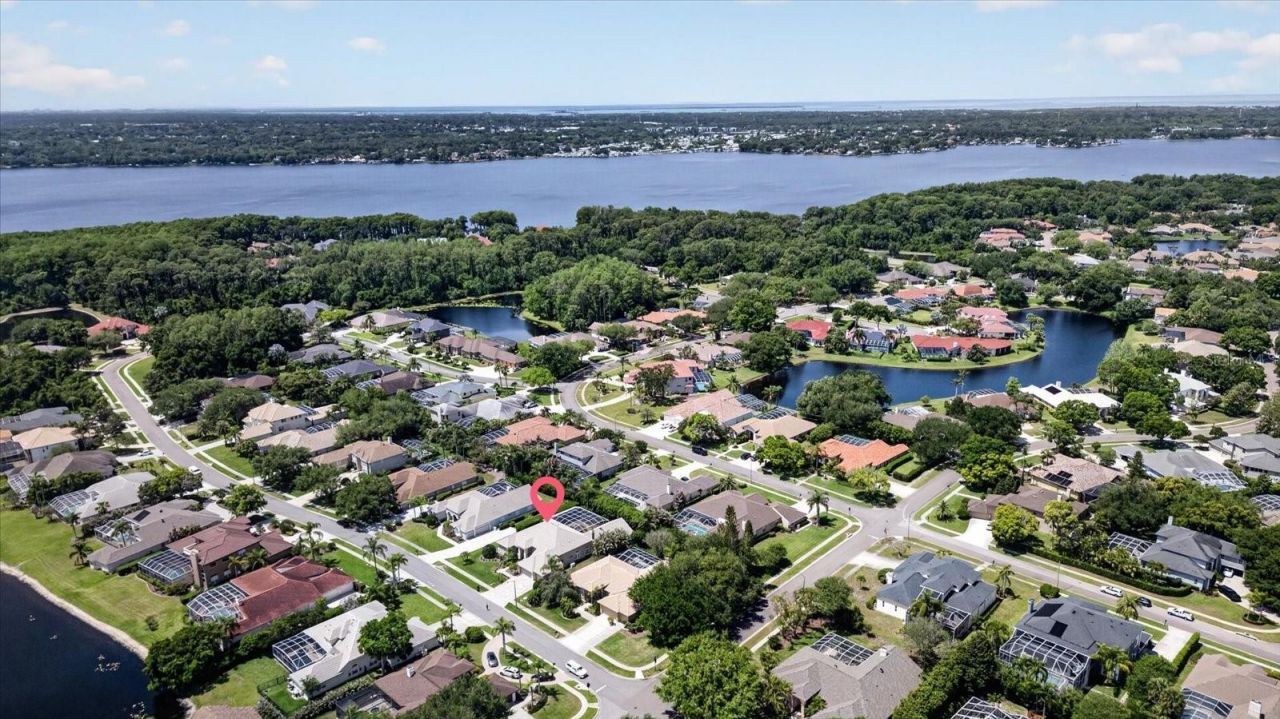 4052 Capitol Drive, Palm Harbor, FL 34685 Photo
