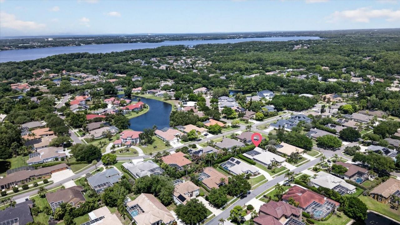 4052 Capitol Drive, Palm Harbor, FL 34685 Photo