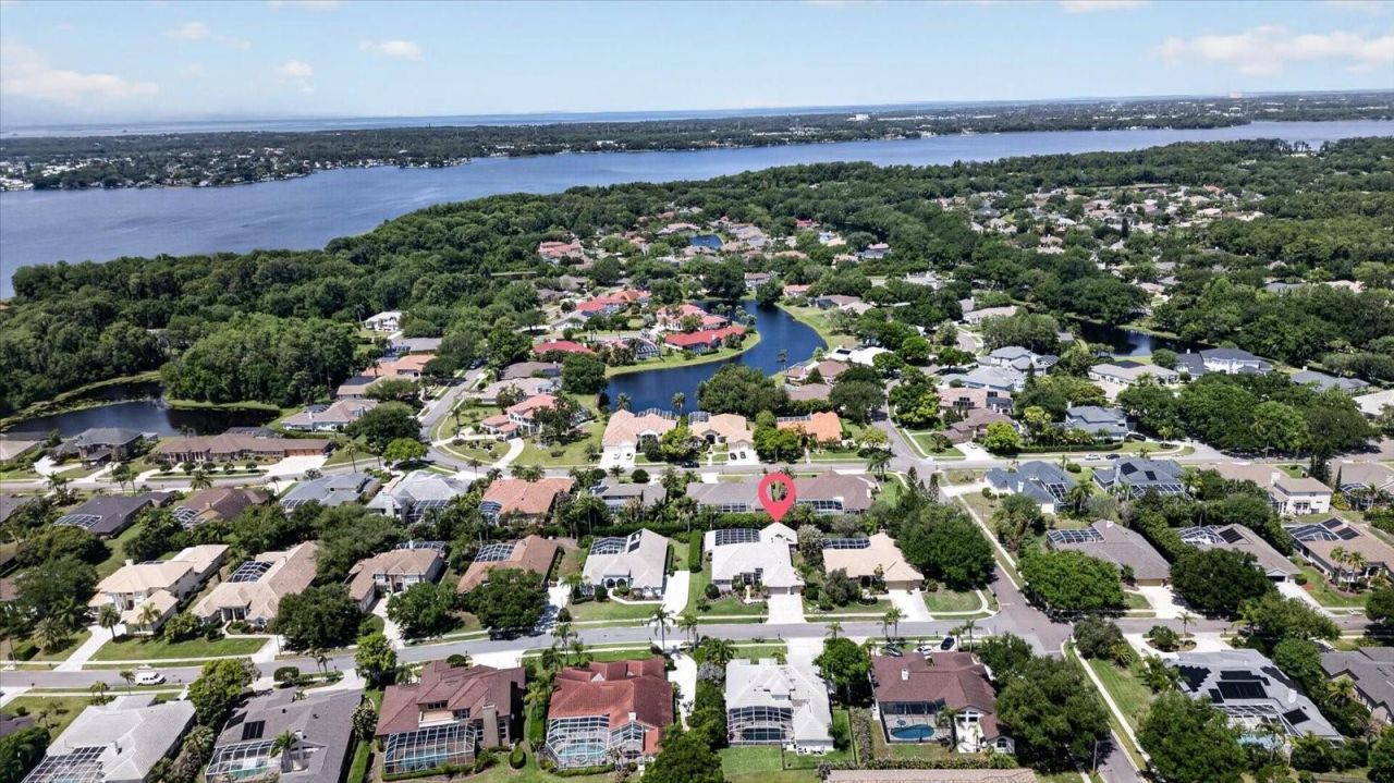 4052 Capitol Drive, Palm Harbor, FL 34685 Photo