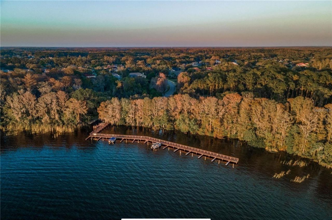 4052 Capitol Drive, Palm Harbor, FL 34685 Photo