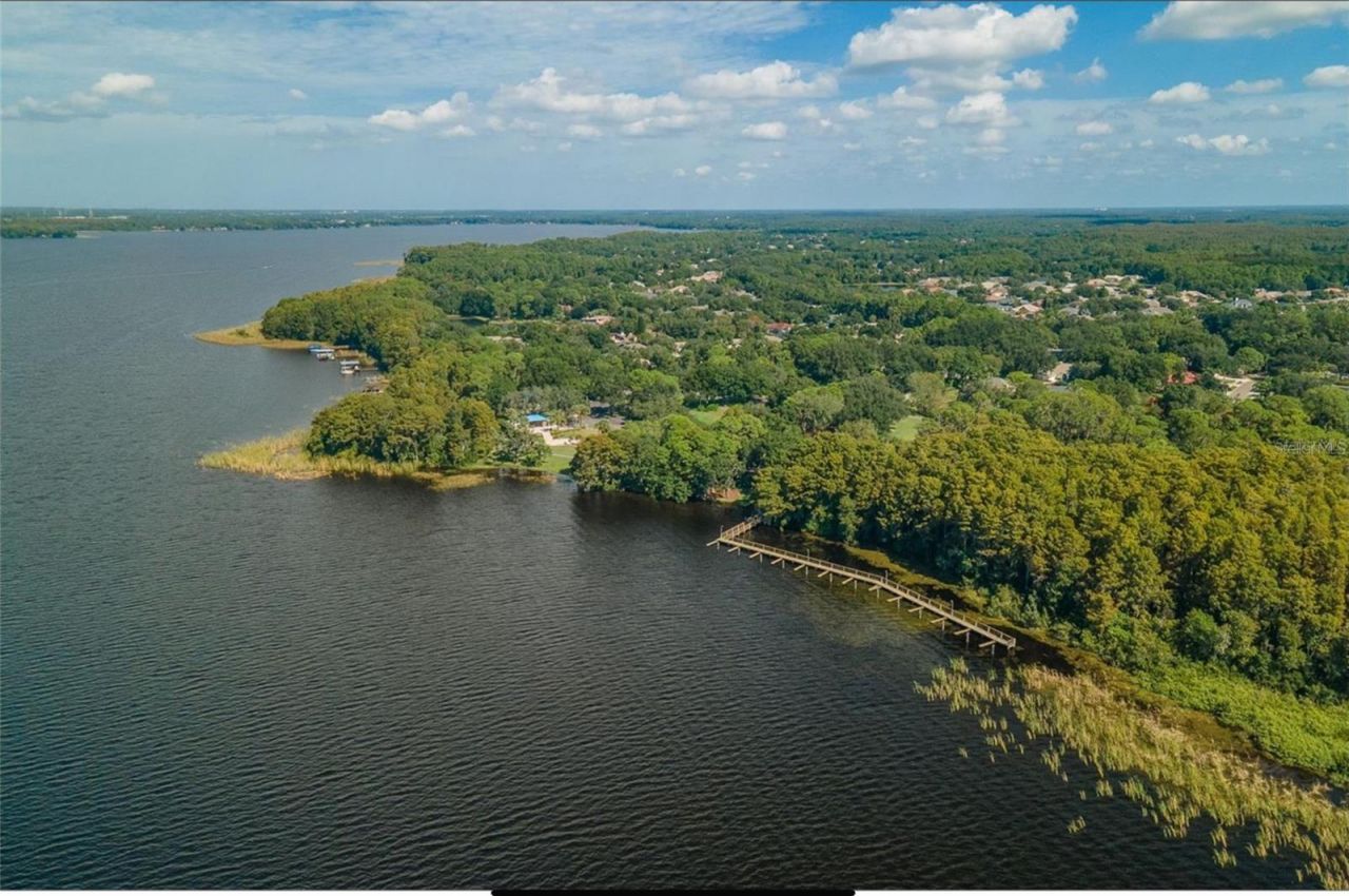 4052 Capitol Drive, Palm Harbor, FL 34685 Photo