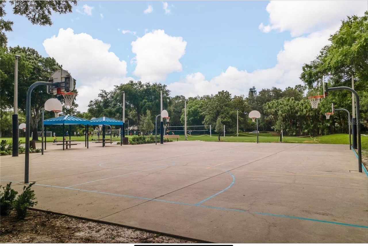 4052 Capitol Drive, Palm Harbor, FL 34685 Photo
