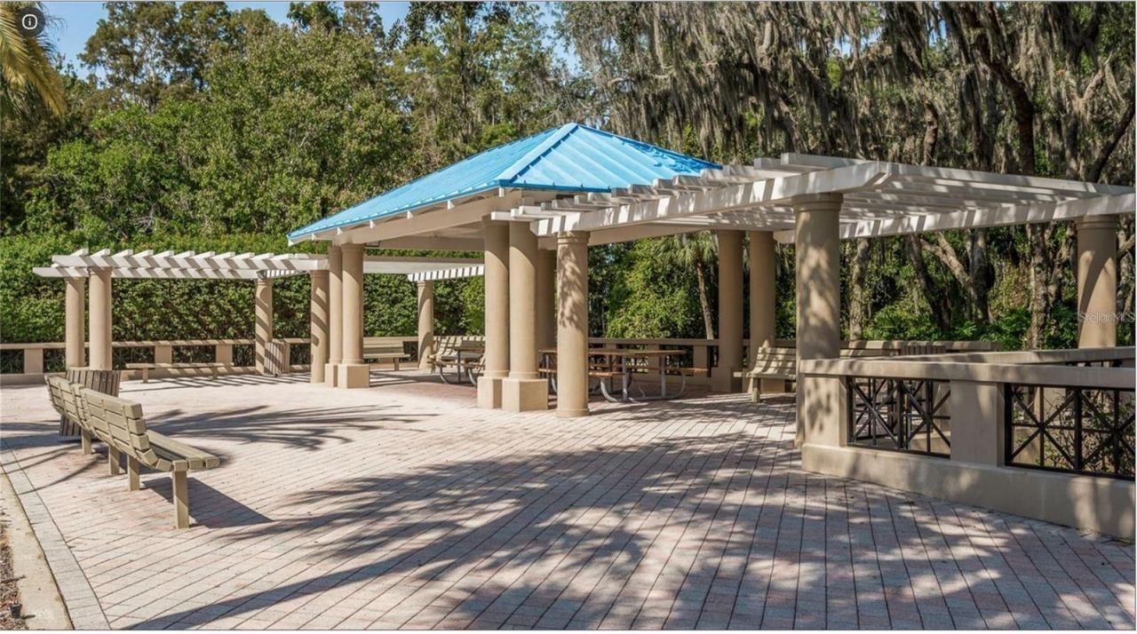 4052 Capitol Drive, Palm Harbor, FL 34685 Photo