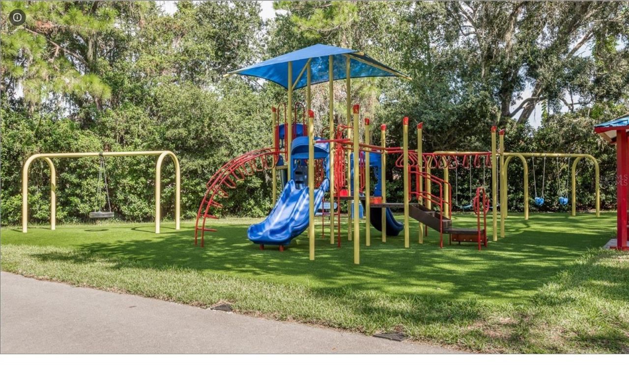 4052 Capitol Drive, Palm Harbor, FL 34685 Photo