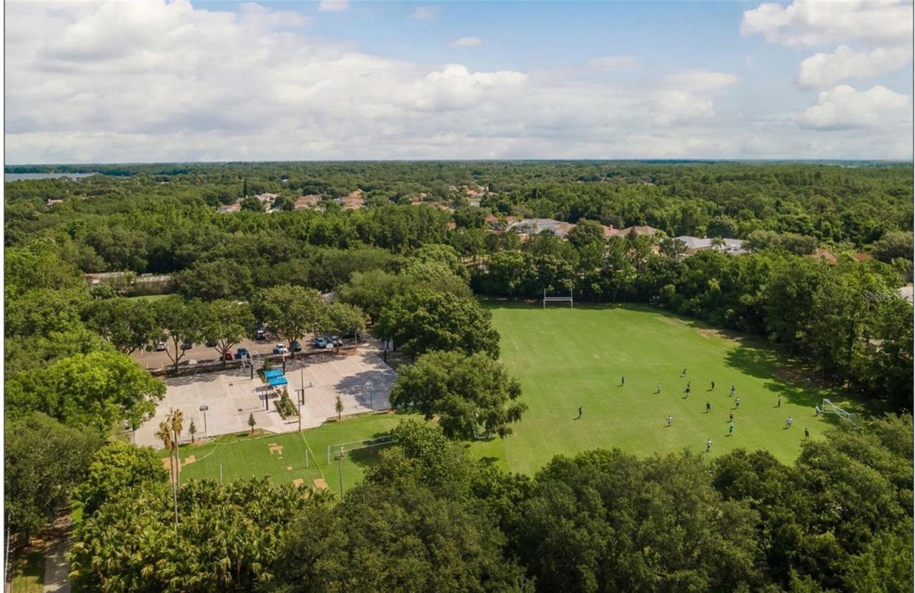 4052 Capitol Drive, Palm Harbor, FL 34685 Photo