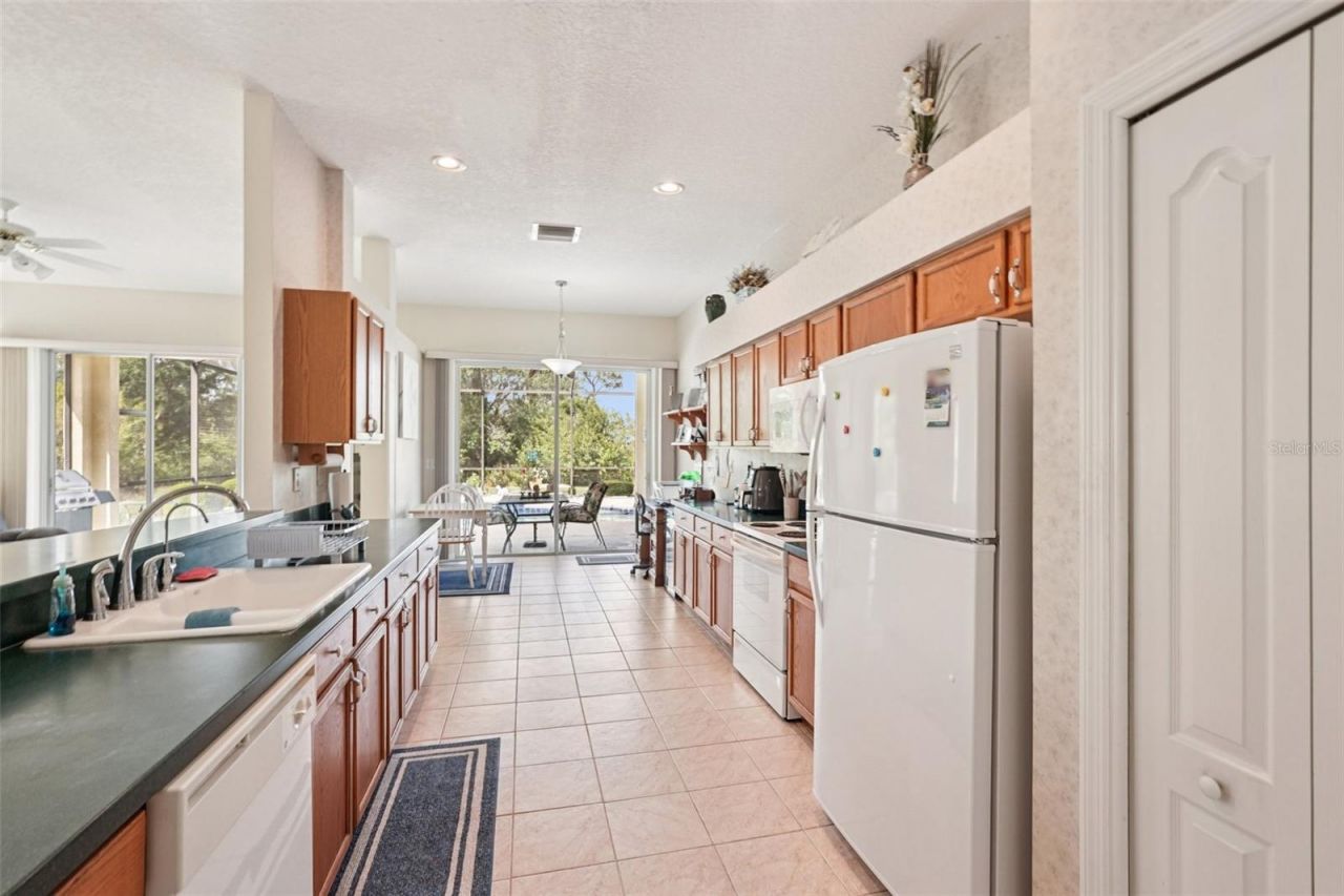 1351 Misty Greens Drive, Sun City Center, FL 33573 Photo