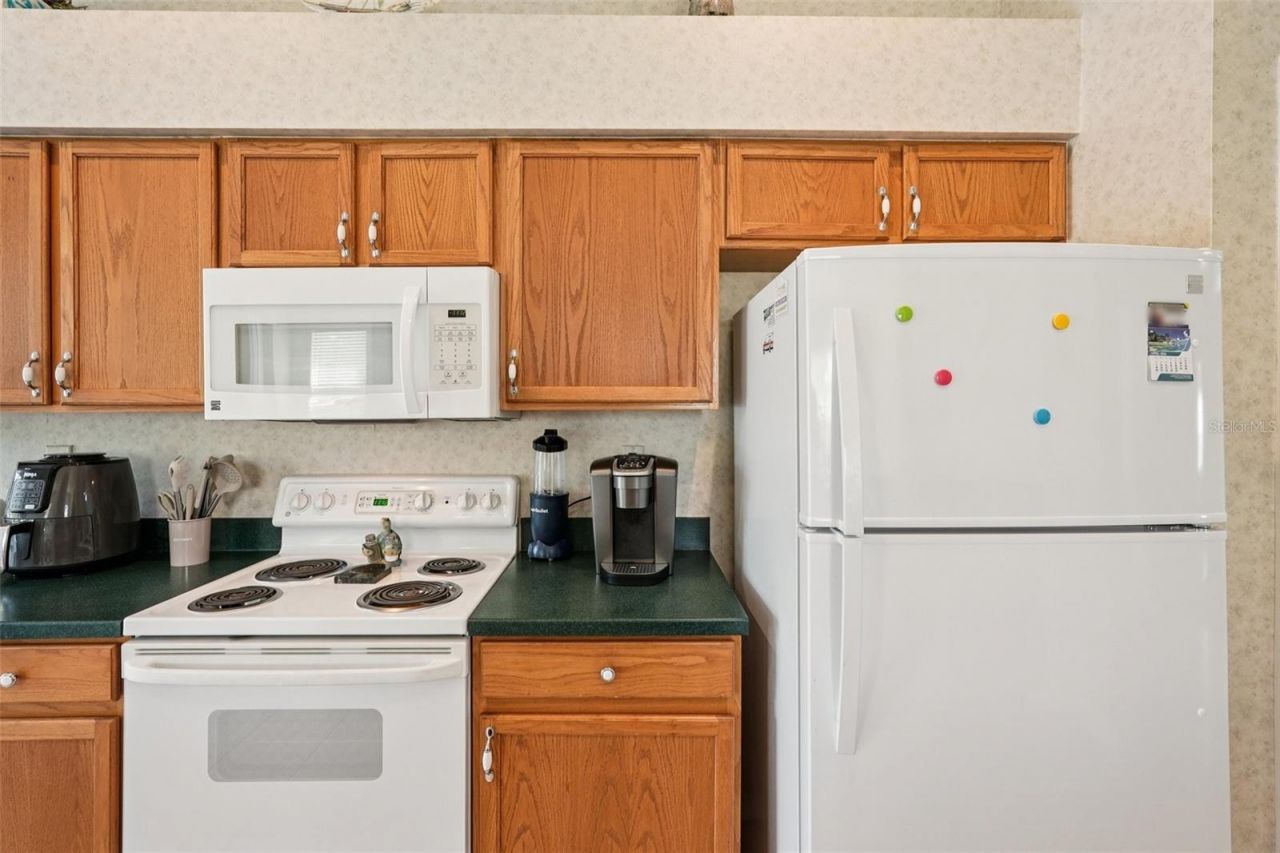 1351 Misty Greens Drive, Sun City Center, FL 33573 Photo