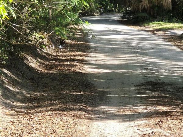 SW 153RD LANE, DUNNELLON, FL 34432