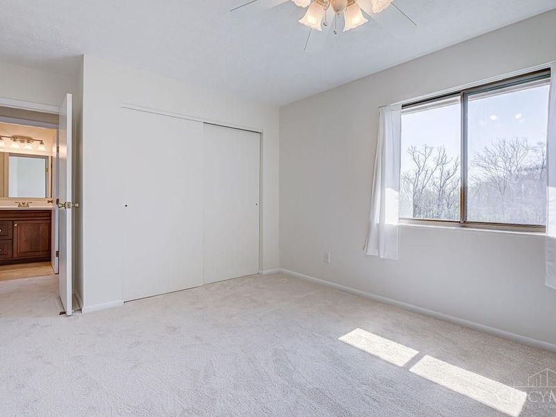 11 Arbor Court, Springdale, OH 45246 Photo 22