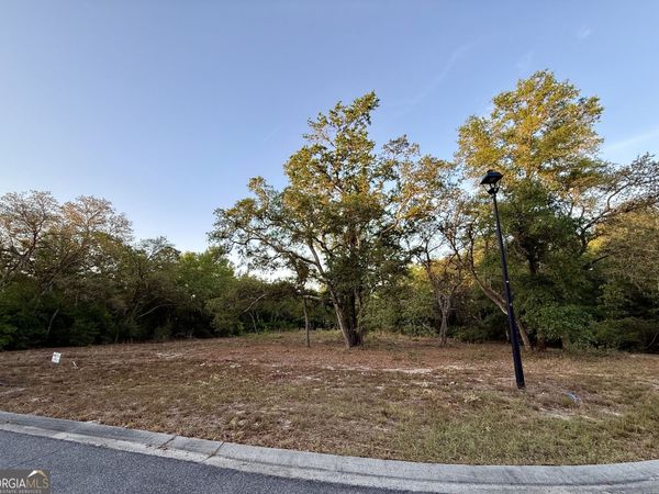 6005 & 6007 Tree Top Lane, Blackshear, GA 31516