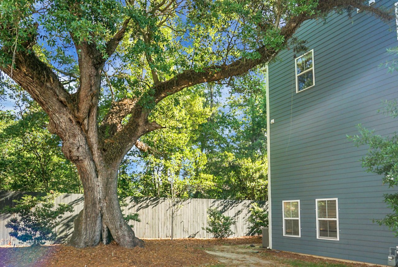 1236 Tice Lane Photo 7