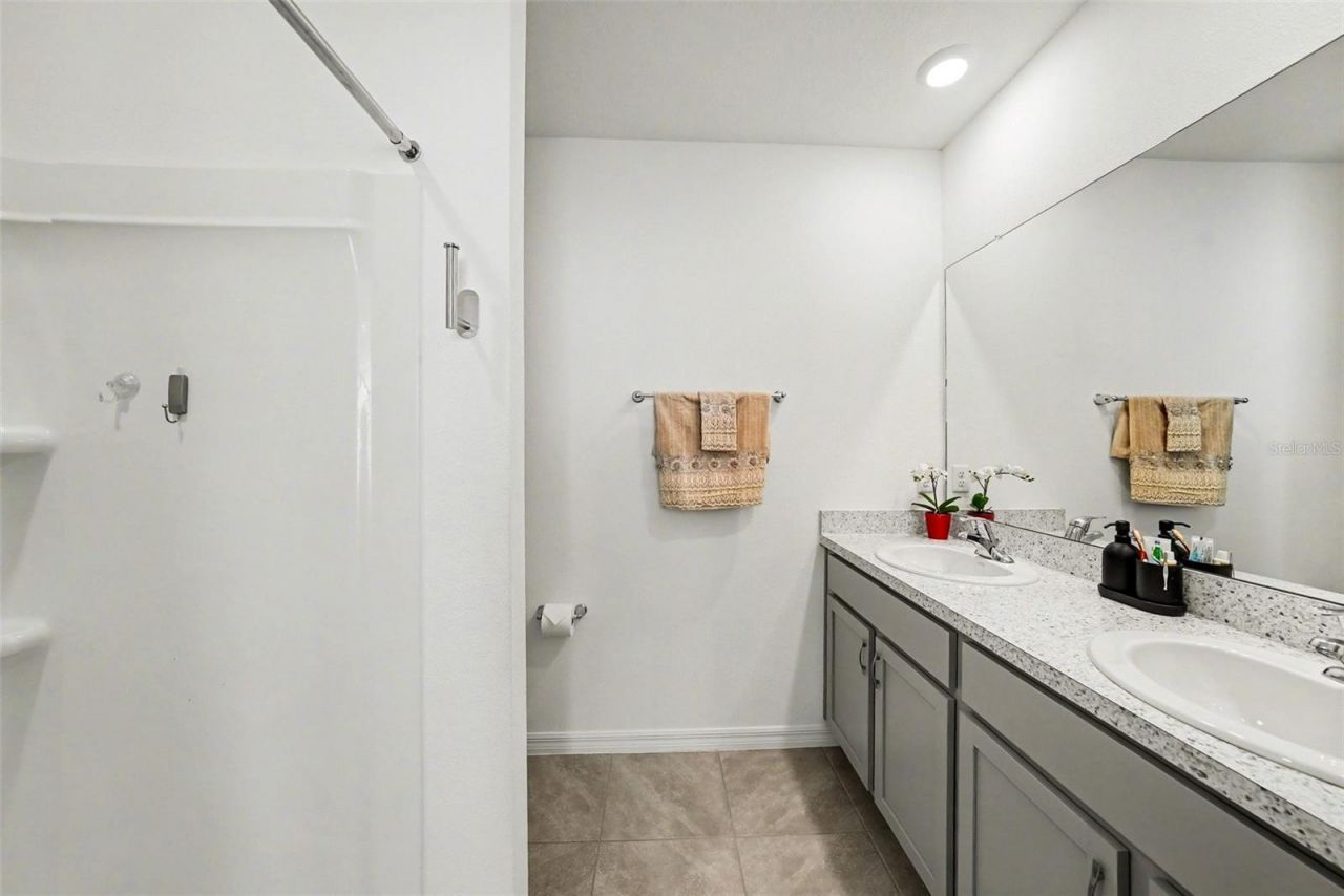 6298 Wandering Willow Drive, Wesley Chapel, FL 33545 Photo
