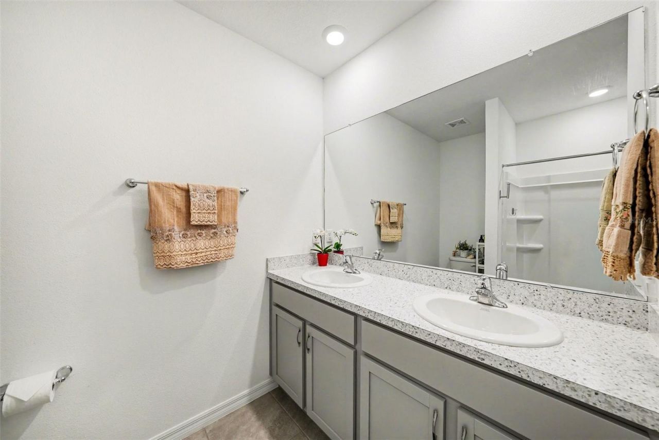 6298 Wandering Willow Drive, Wesley Chapel, FL 33545 Photo
