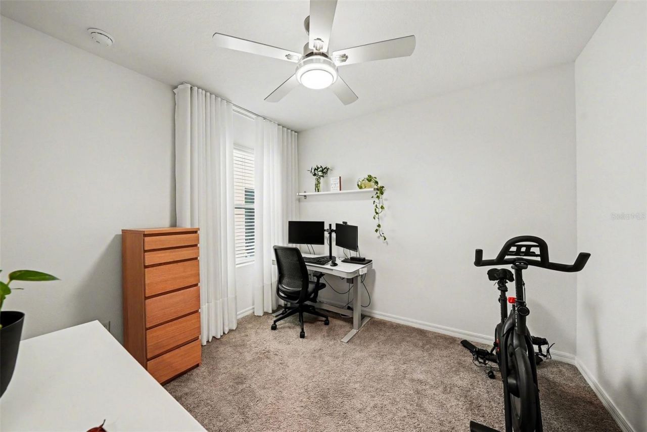 6298 Wandering Willow Drive, Wesley Chapel, FL 33545 Photo