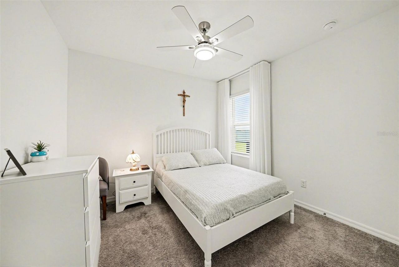 6298 Wandering Willow Drive, Wesley Chapel, FL 33545 Photo