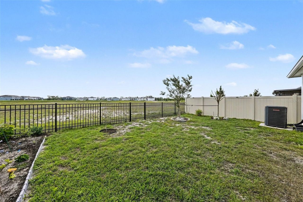 6298 Wandering Willow Drive, Wesley Chapel, FL 33545 Photo