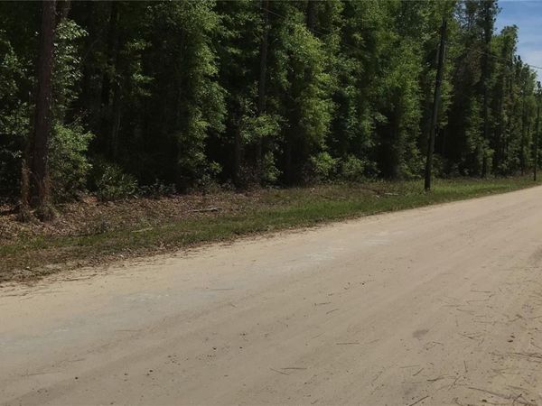 0 NE 133RD AVENUE , WILLISTON, FL 32696