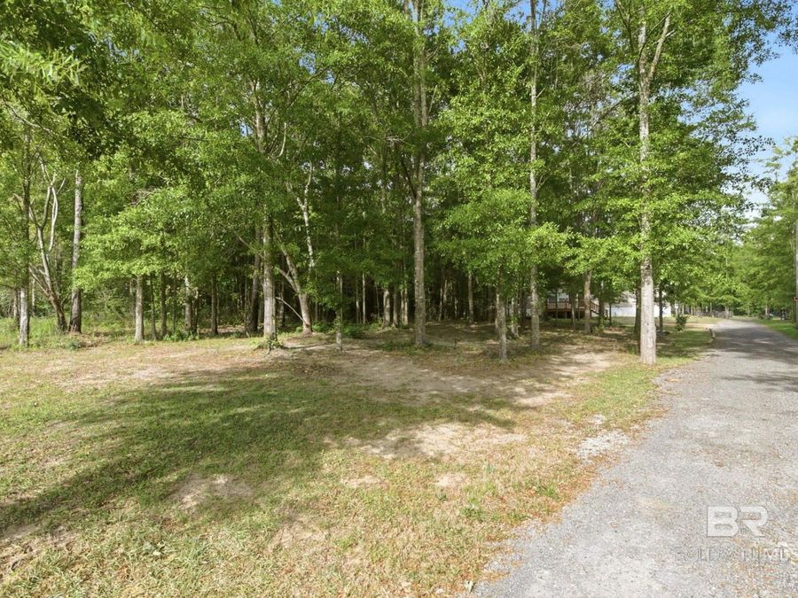 Property Image 43