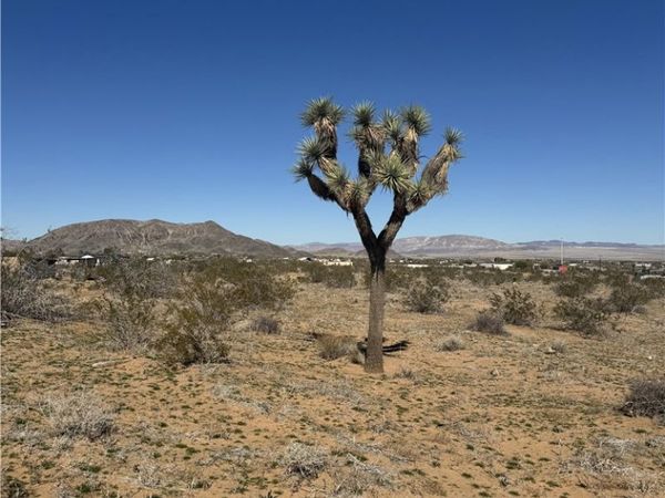 575 N Covelo Avenue, Landers, CA 92285