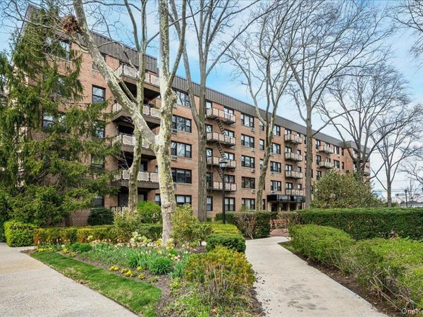 4 BIRCHWOOD , Unit 1B, Mineola, NY 11501
