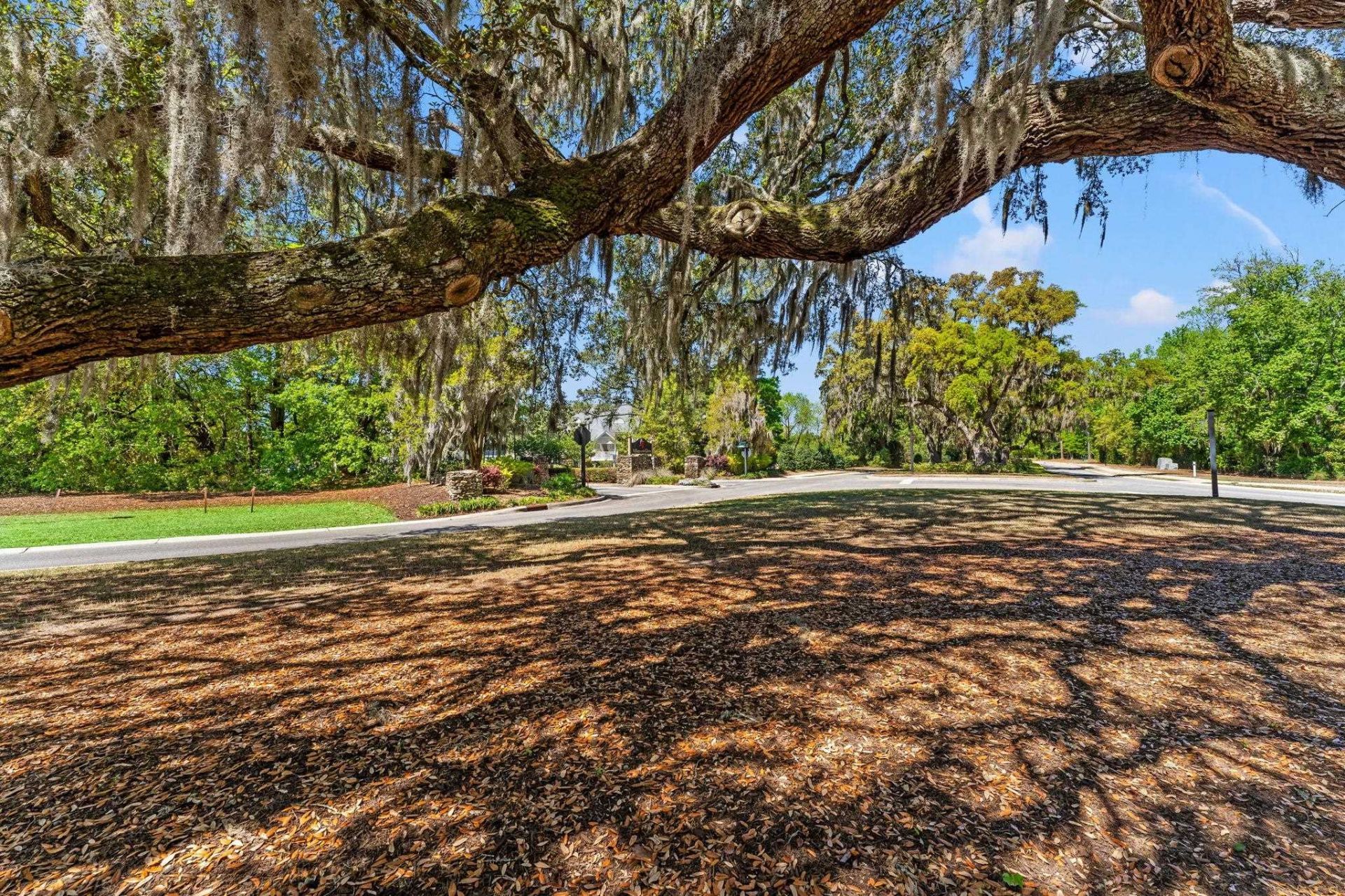 114 Scotch Broom Dr. Photo 30