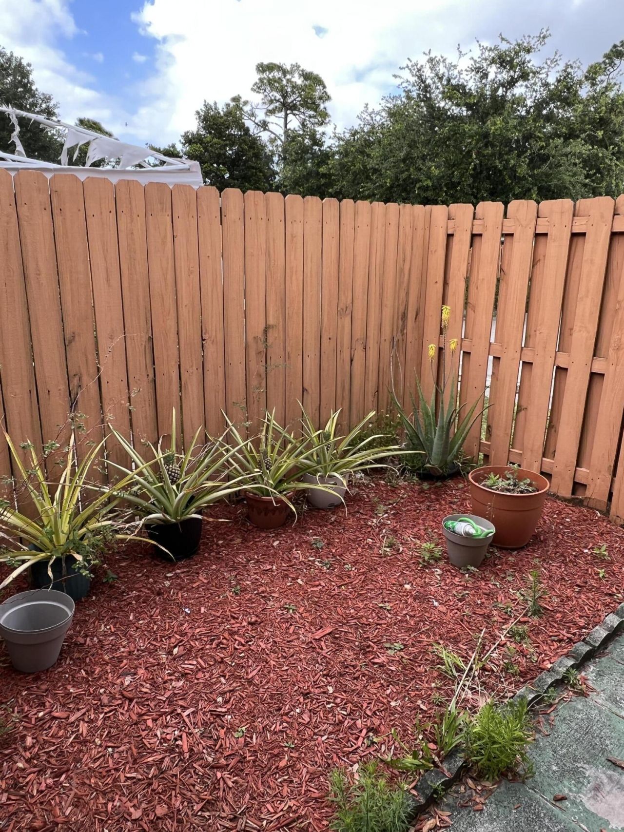 1866 My Lane, West Palm Beach, FL 33417 Photo