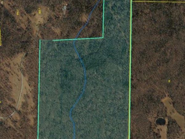 4855 Pebble Lane , Farmington, MO 63640