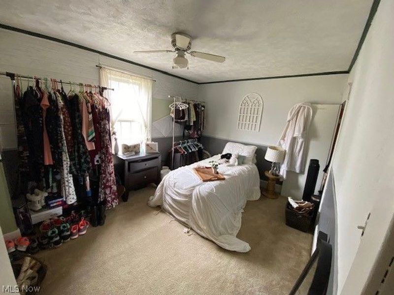 810 Daniels Street, Toronto, OH 43964 Photo 12