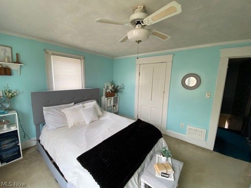 810 Daniels Street, Toronto, OH 43964 Photo 14