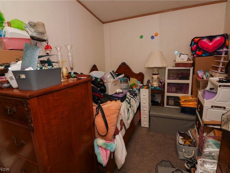 375 Golfway Drive, Painesville Township, OH 44077 Photo 8