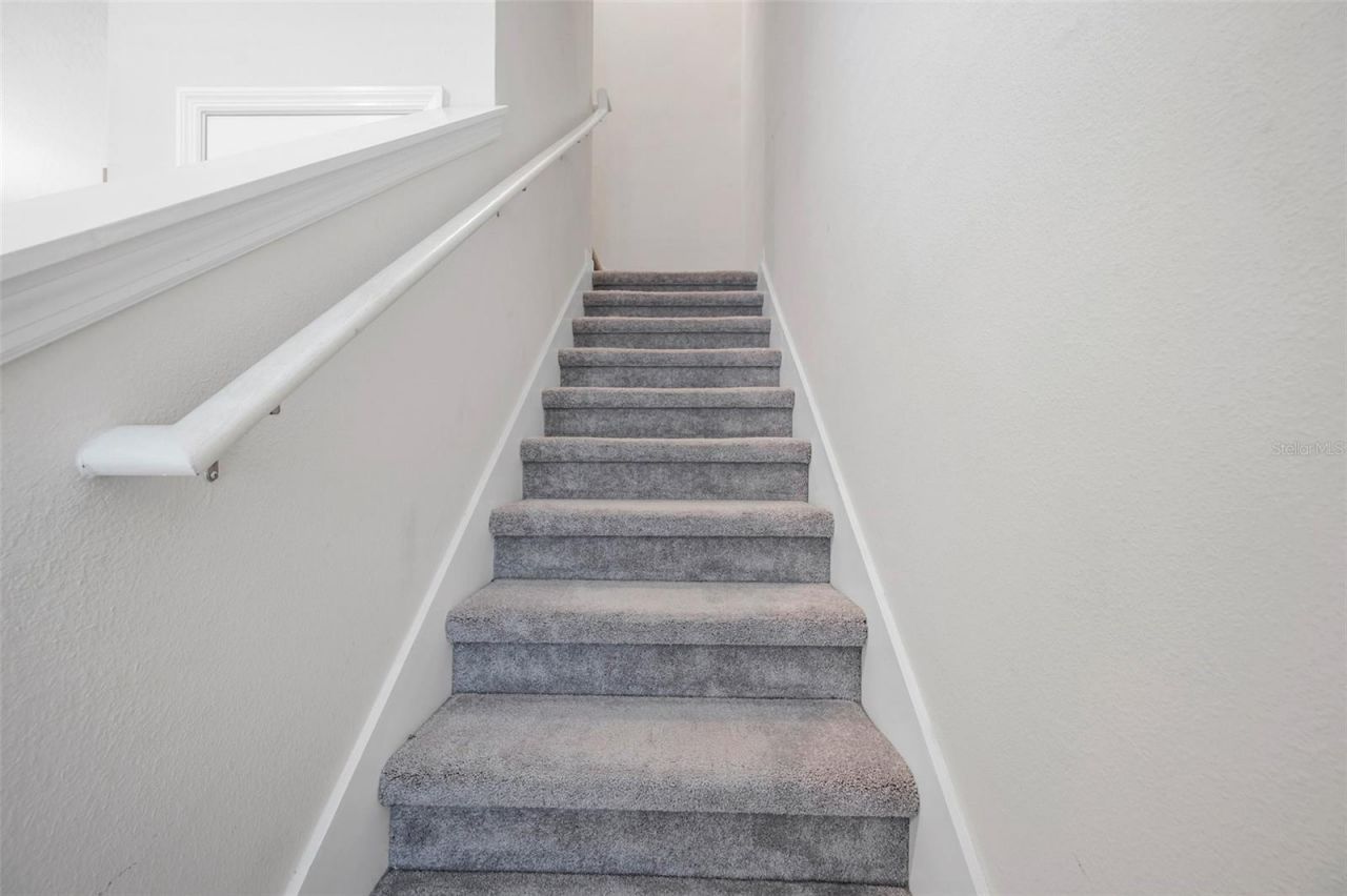 4966 Avalon Park Boulevard, Wesley Chapel, FL 33545 Photo