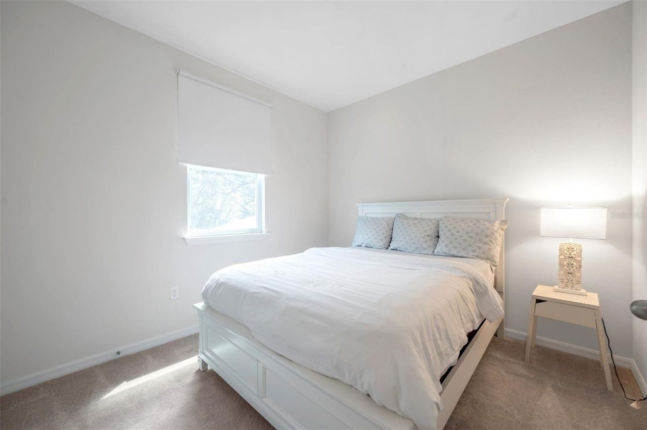 4966 Avalon Park Boulevard, Wesley Chapel, FL 33545 Photo