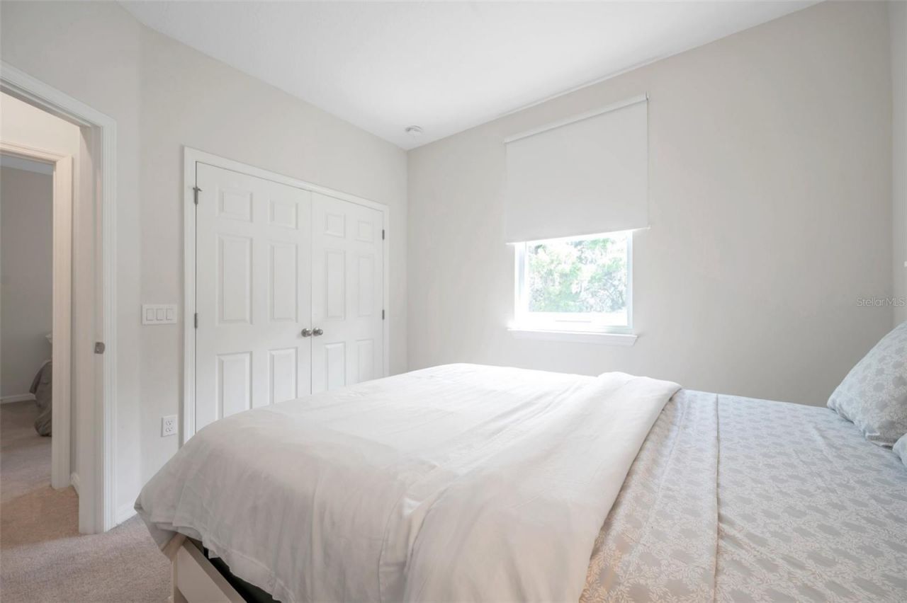 4966 Avalon Park Boulevard, Wesley Chapel, FL 33545 Photo